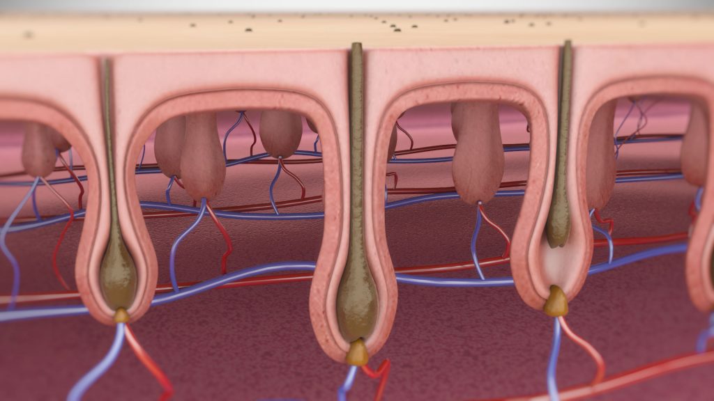 3vo_Depilacja_Laserowa_001 Depilacja Laserowa Animacja 3D
