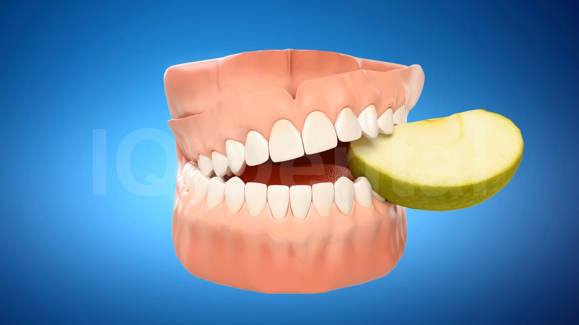 3vo Dentystyczne Animacje 3D