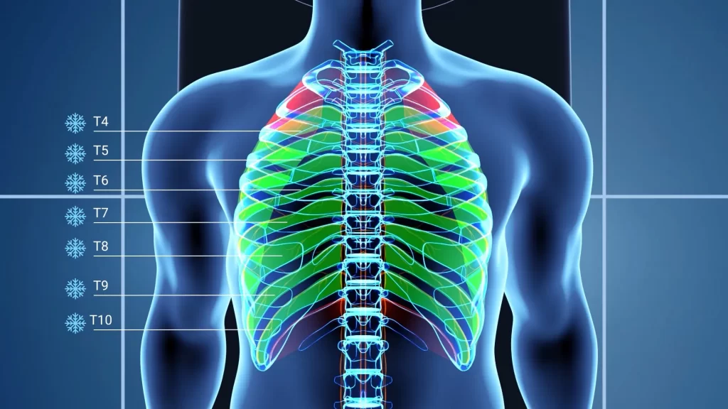 Animacje medyczne 3D Krioanalgezja 3vo Studio 005 Animacje medyczne 3D Krioanalgezja 3vo Studio