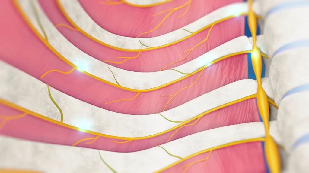 Animacje medyczne 3D Krioanalgezja 3vo Studio 006 Animacje medyczne 3D Krioanalgezja 3vo Studio